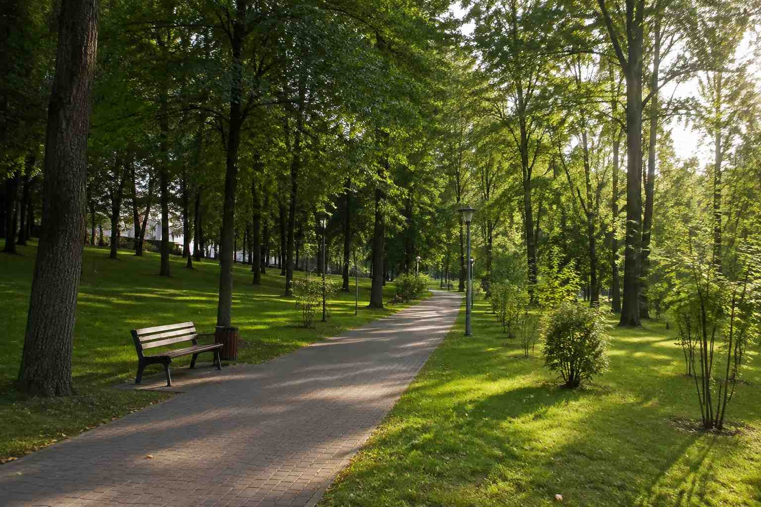 https://belogorsk.blago-s.ru/storage/app/uploads/public/6a7/eef/ed2/6a7eefed2af22038960370.jpg
